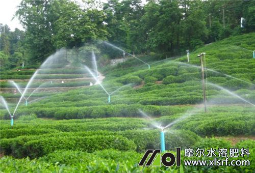 大量元素水溶肥噴灌 大量元素水溶肥噴灌