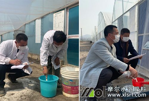 水溶肥稀釋兌水 水溶肥稀釋兌水