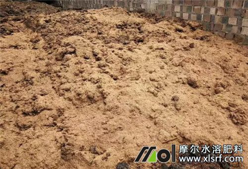 水溶肥追施條件 水溶肥追施條件