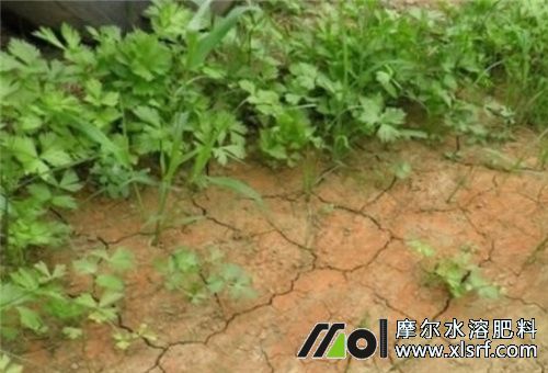 土壤板結(jié) 土壤板結(jié)