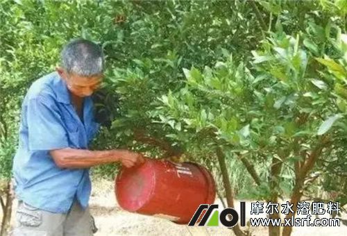 水溶性肥注意 水溶性肥注意