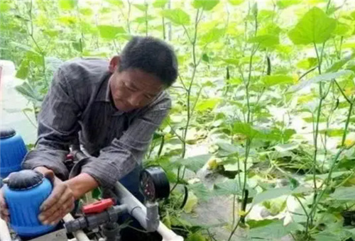 高溫天氣水溶肥選擇 高溫天氣水溶肥選擇