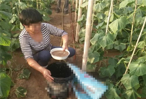 高溫天氣施肥方法 高溫天氣施肥方法