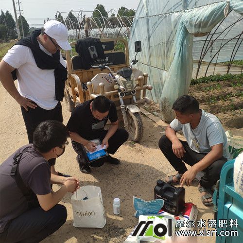 種植戶訂購試用肥料中 種植戶訂購試用肥料中