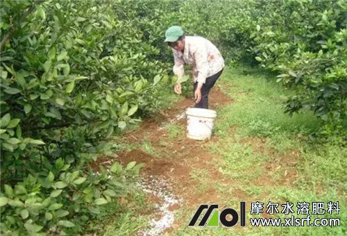 一畝果園用肥量 一畝果園用肥量
