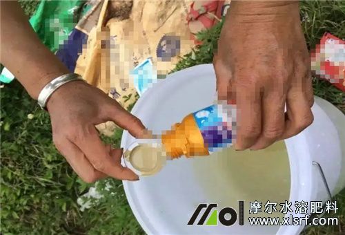 藥肥介紹 藥肥介紹