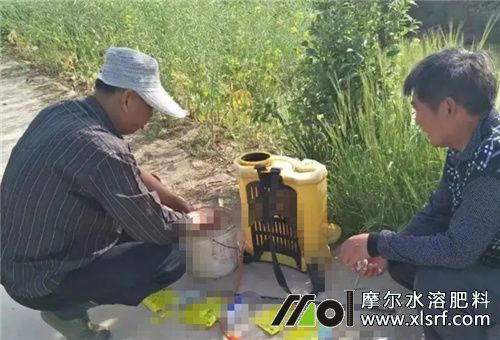 藥肥施用規(guī)范 藥肥施用規(guī)范