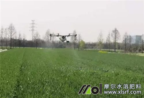 藥肥發(fā)展趨勢(shì) 藥肥發(fā)展趨勢(shì)