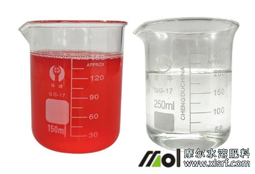 草莓定植后施水溶肥 草莓定植后施水溶肥