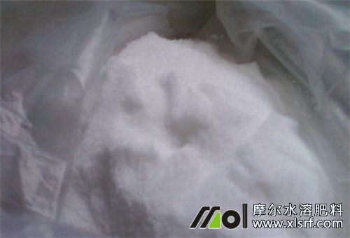 草莓生根養(yǎng)根調(diào)節(jié)劑 草莓生根養(yǎng)根調(diào)節(jié)劑