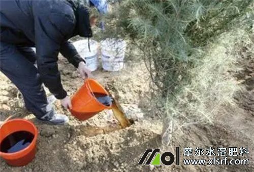 水溶性肥用法 水溶性肥用法