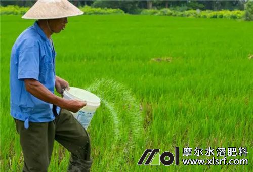 氮肥使用注意 氮肥使用注意