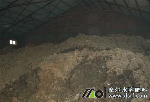 香瓜種植用肥 香瓜種植用肥