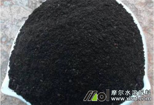 海藻水溶肥是否抗?jié)? alt=