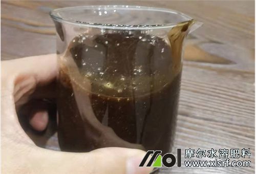 魚蛋白肥 魚蛋白肥