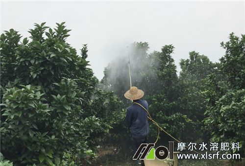 酶解魚蛋白使用說明 酶解魚蛋白使用說明