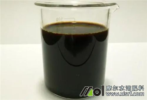 魚蛋白原漿 魚蛋白原漿