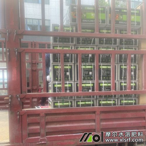 根聚地裝車中 根聚地裝車中