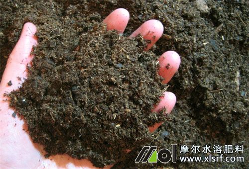 水溶肥作用有哪些 水溶肥作用有哪些