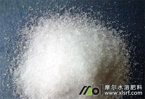 夏天水溶肥怎么用好 夏天水溶肥怎么用好