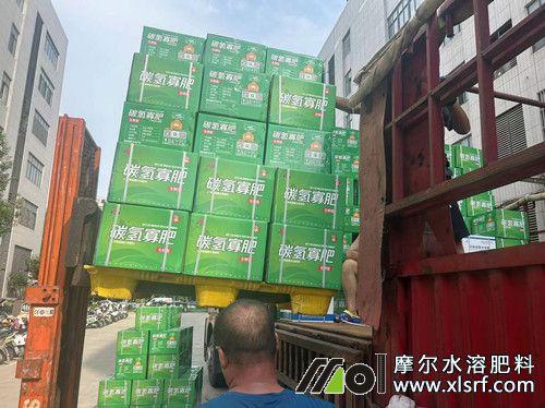 30余噸生根膨果桶裝肥 30余噸生根膨果桶裝肥