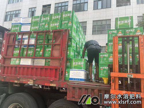 生根膨果桶裝肥裝車中 生根膨果桶裝肥裝車中