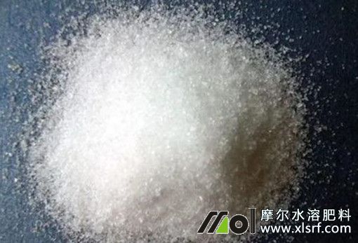 大量元素水溶肥如何用 大量元素水溶肥如何用